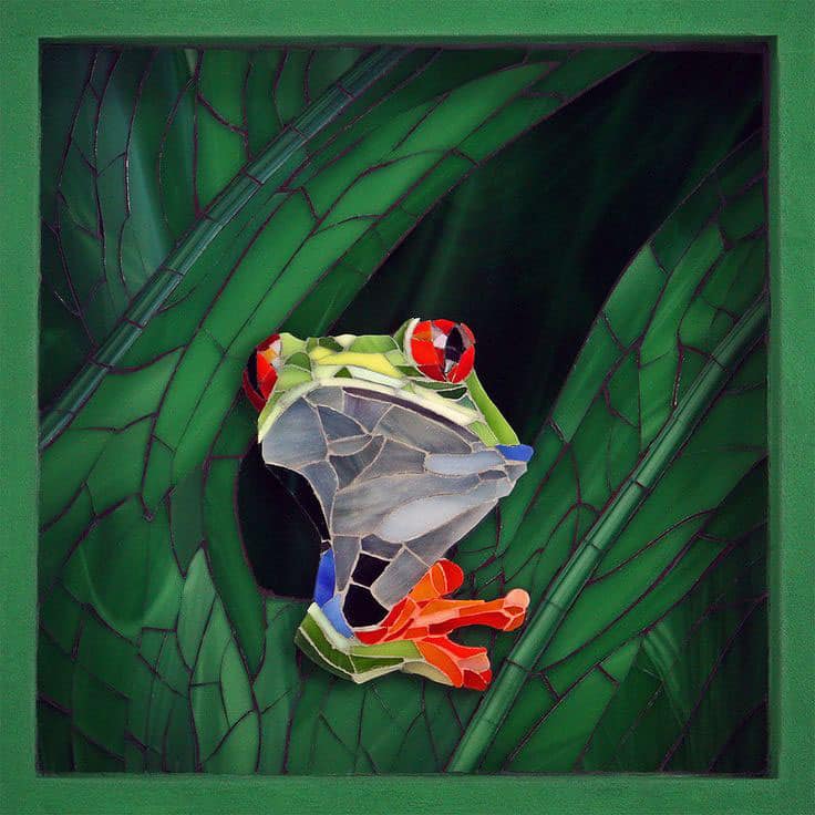 Mosaic Frog