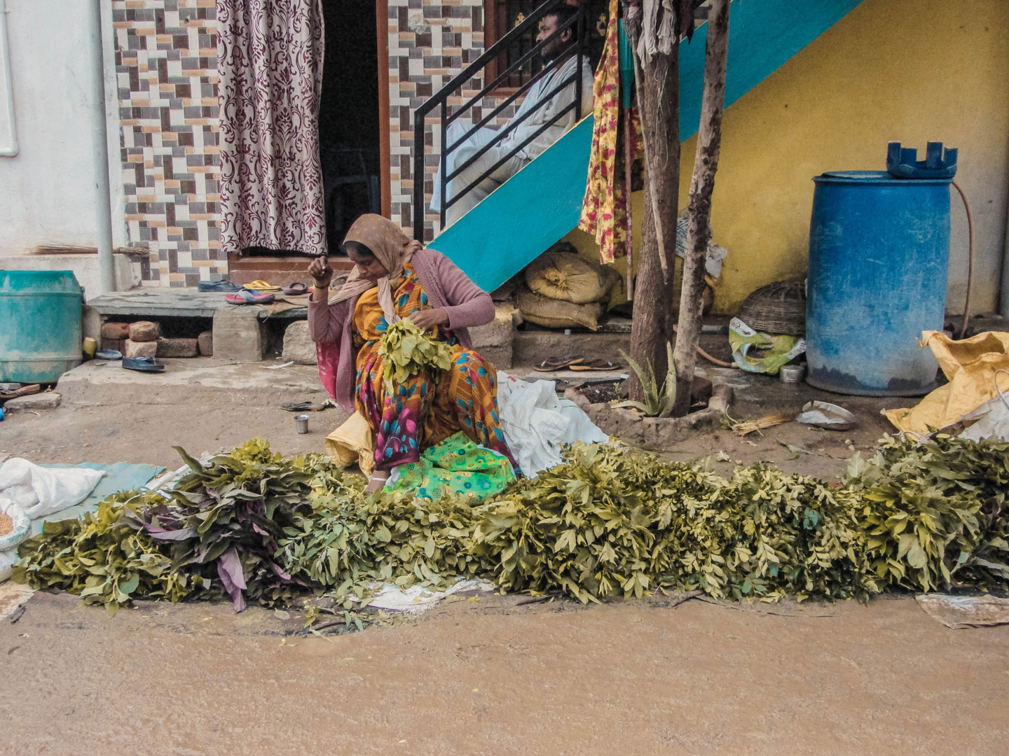 Santha Leafy Vegetables