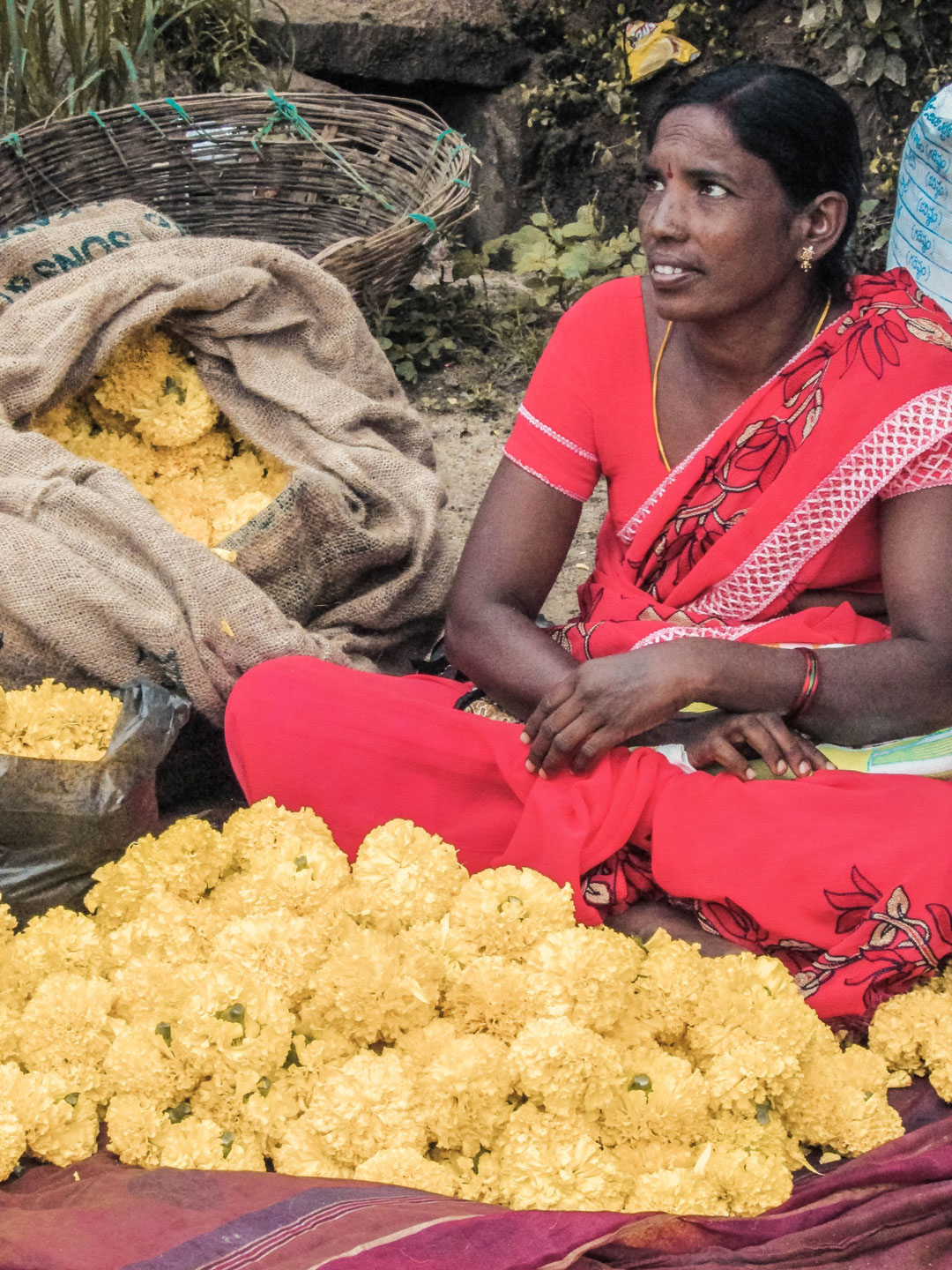 Marigold Seller